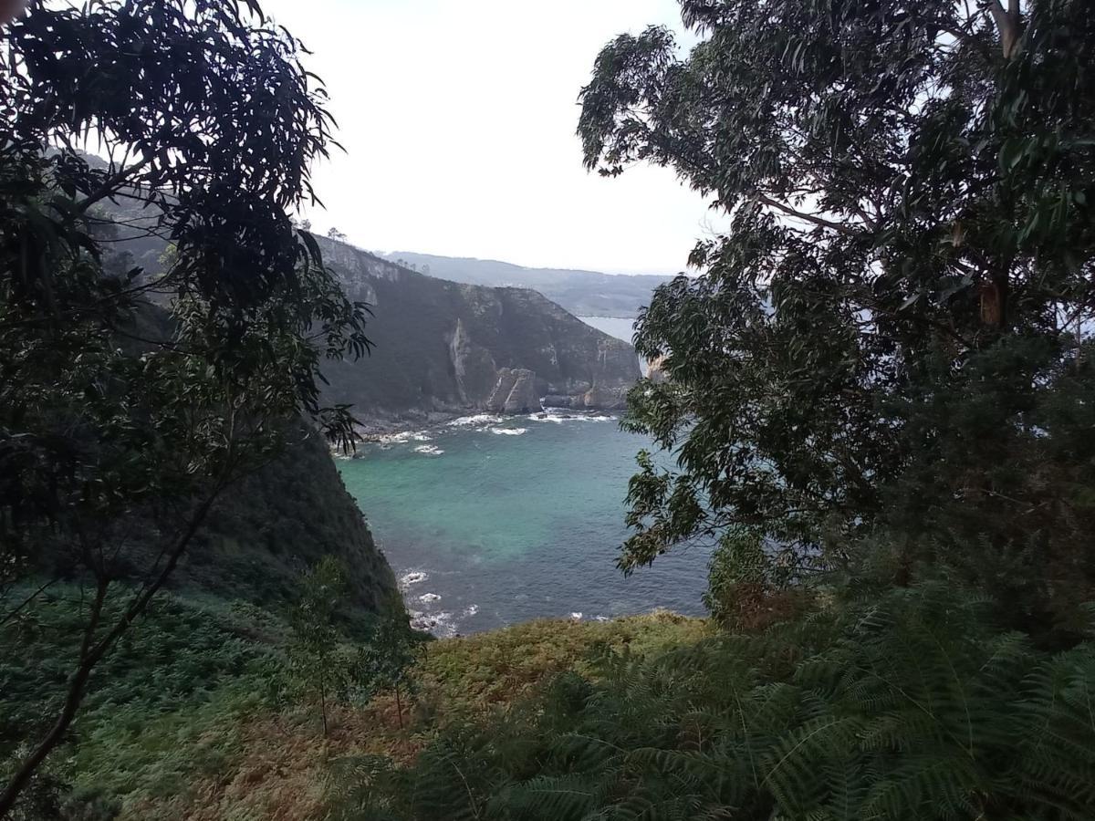 Duerming Family Viveiro 4 Rooms Екстер'єр фото